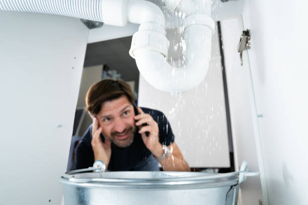 Best Sprinkler Systems  in Nicholasville, KY