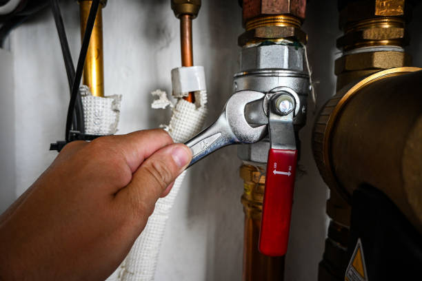 Best Emergency Plumber  in Nicholasville, KY